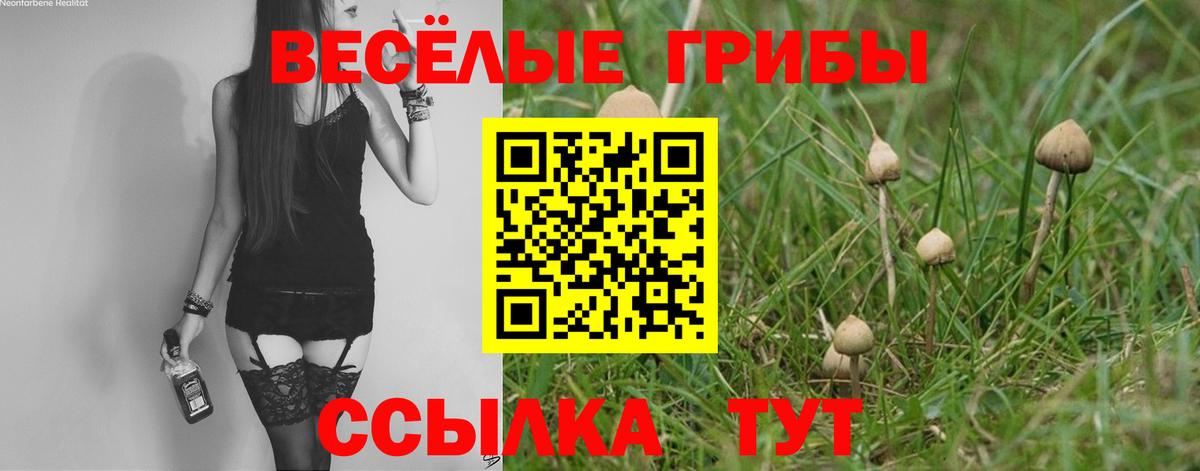 Лабинск  Псилоцибиновые грибы Psilocybine cubensis  Галлюциногенные грибы ЛСД  где можно купить   Вход с VPN 